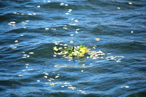 Blumen im Wasser